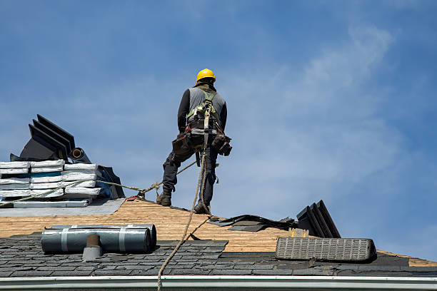 Professional Roofing technician working in Collins, OH